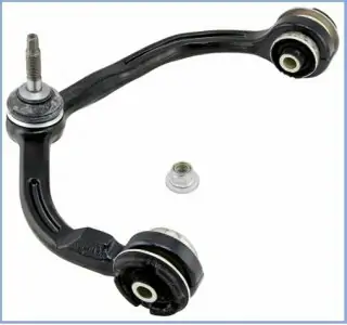 rameno  horní  pravé