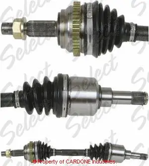 Poloosa přední levá