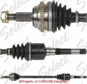 Poloosa přední pravá