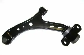 Rameno  spodní  levé