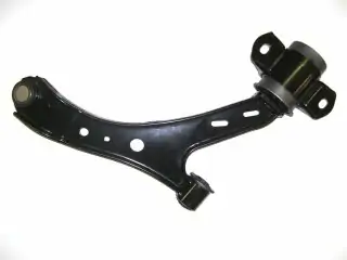 Rameno  spodní  pravé