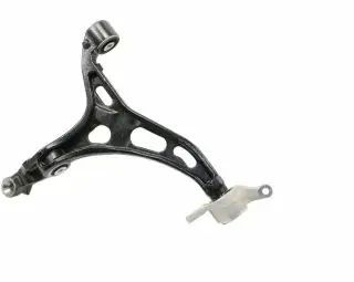 Rameno spodní pravé