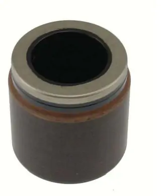 Pístek brzdiče zadní