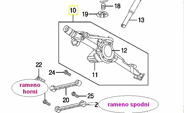 Rameno spodní zadní