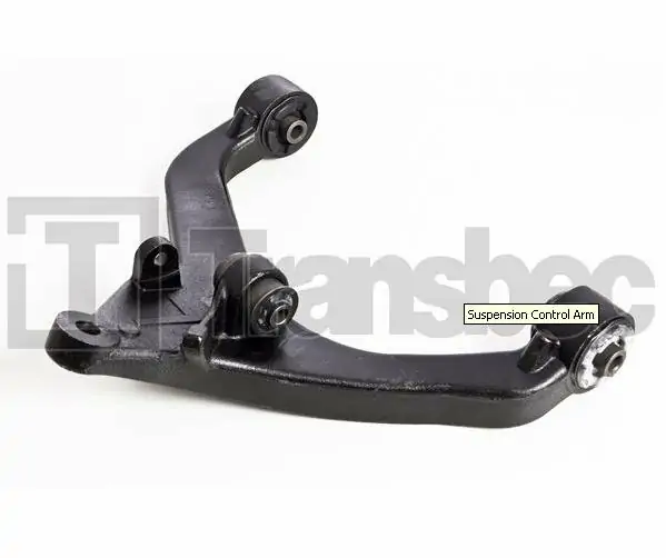 Rameno spodní levé