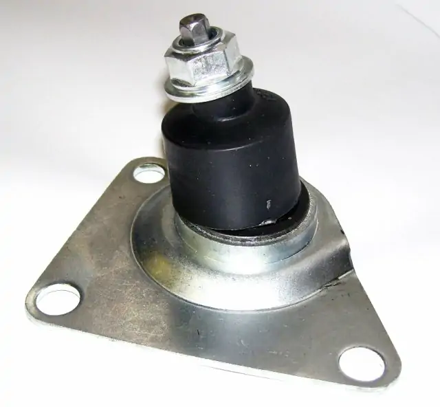 Čep zadního ramene