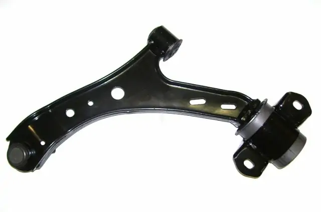 Rameno  spodní  levé