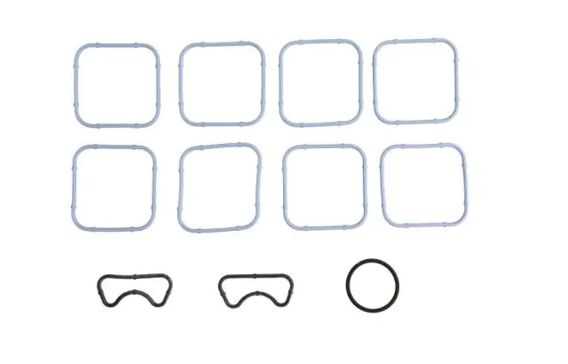 Těsnění sání  motoru - sada