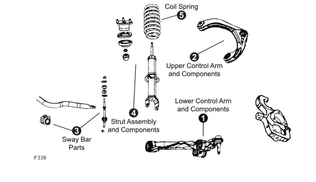 Rameno horní - pravé