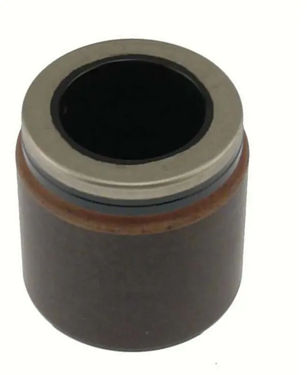 Pístek brzdiče zadní