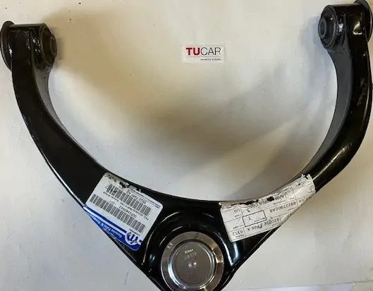 rameno horní pravé